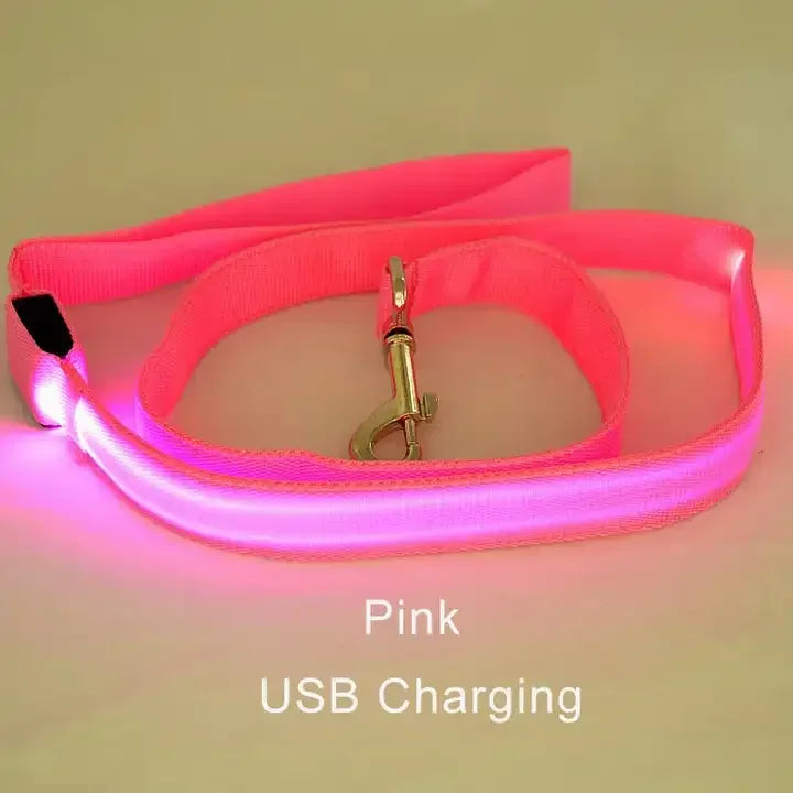 NONECN LED Light Up Dog Leash Luminous Rope For Safety