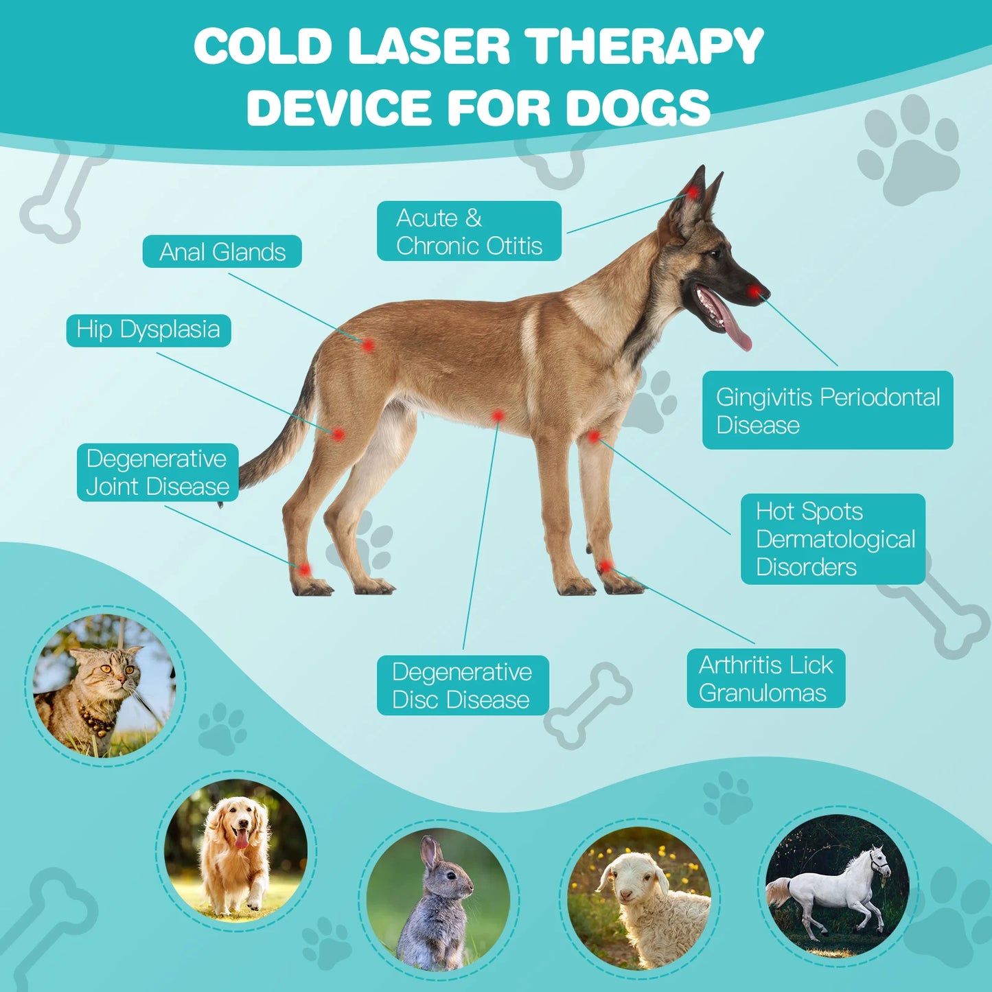KTS Laser Therapy for Dogs 18*620nm Portable Red Light Therapy Veterinary Equipment for Joint Muscle Pain Relief&Inflammation