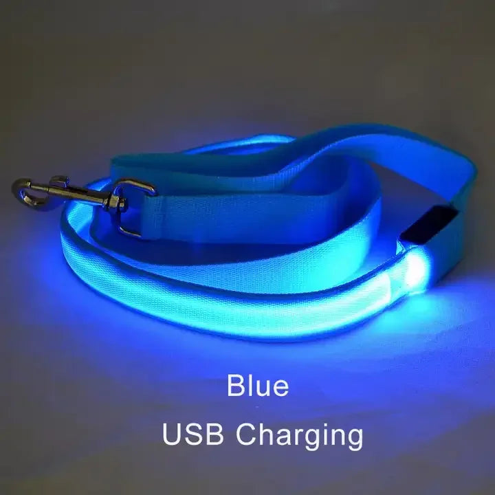NONECN LED Light Up Dog Leash Luminous Rope For Safety