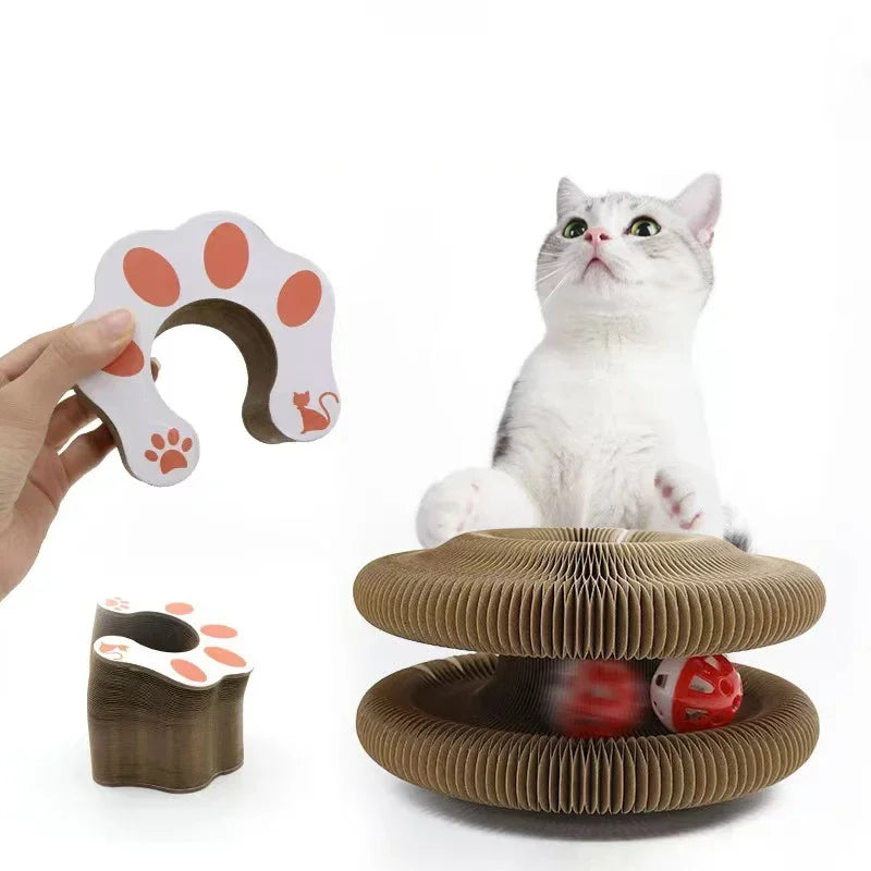 Interactive Cat Toy Ball Set For Kitten Training And Fun