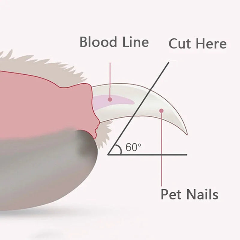 Pet Nail Clippers With Led Light For Dogs And Cats