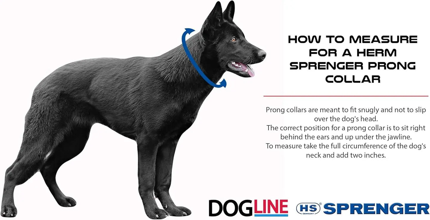 German-Made Hypoallergenic Prong Dog Training Collar, Nickel-Free No-Pull Design for Medium Dogs