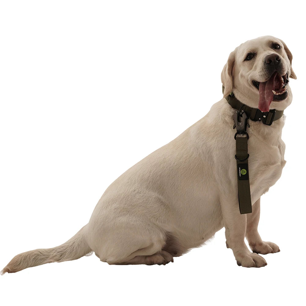 Heavy Duty Nylon Dog Leash Traffic Padded Handle For Training