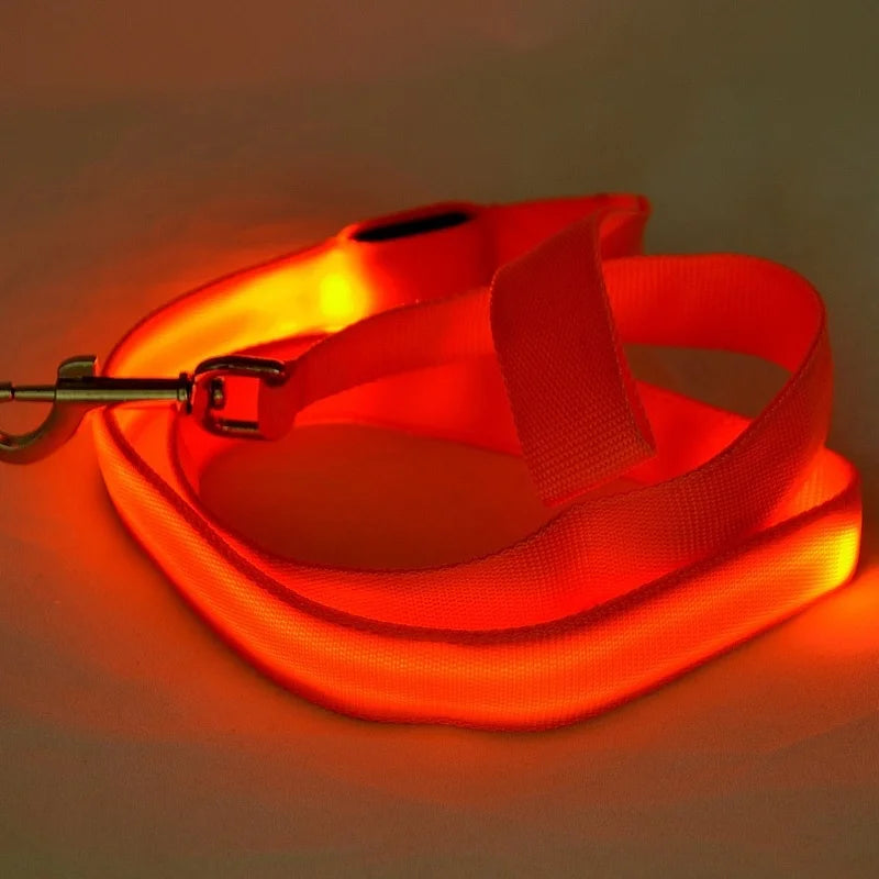 NONECN LED Light Up Dog Leash Luminous Rope For Safety