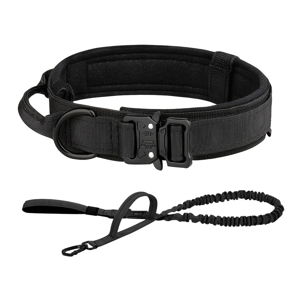 PETRAVEL CN Dog Training Collar Adjustable Tactical Leash Set