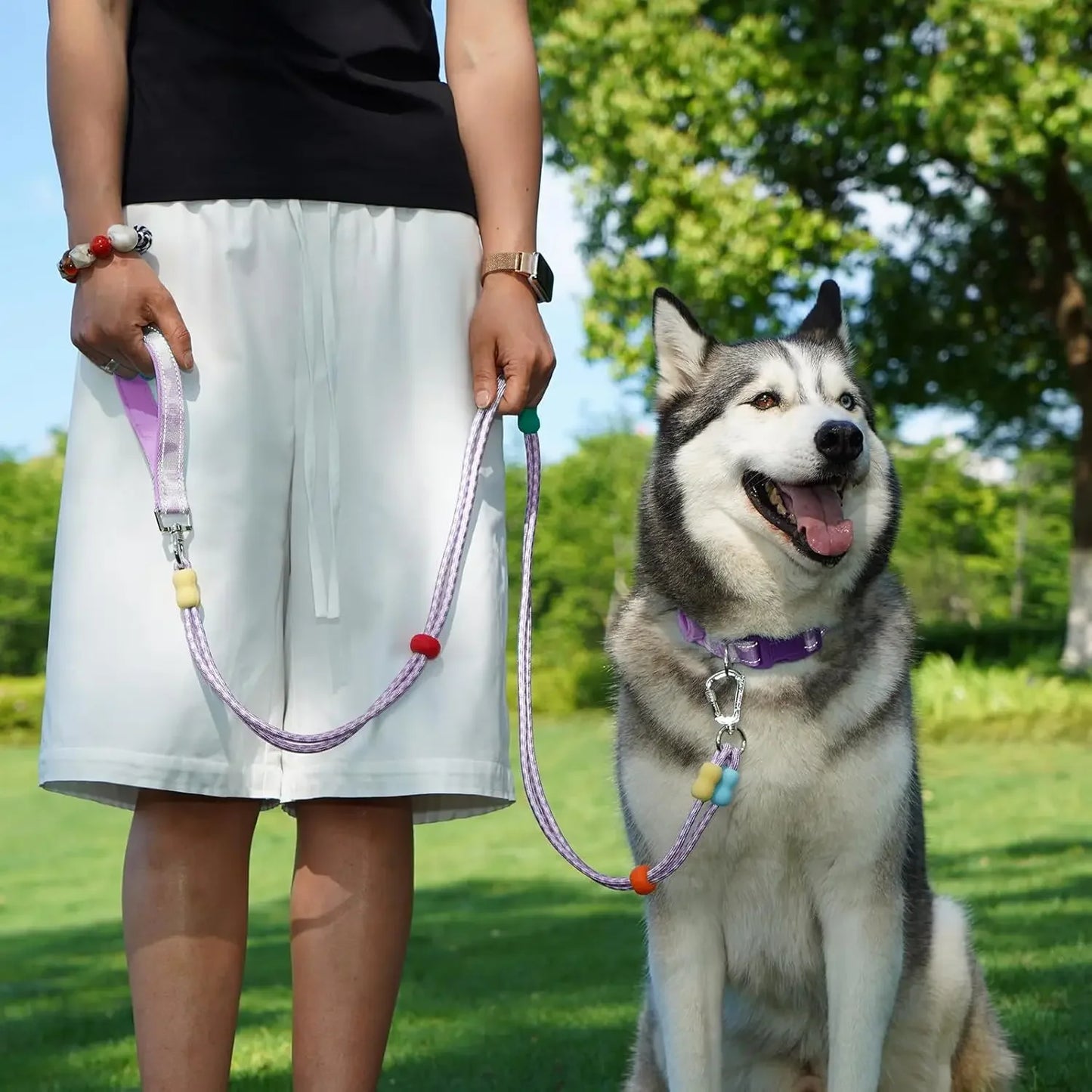 Dog Leash and Collar Set with AirTag Holder for Small Medium Large Dogs,5 FT Double Rope Leashes