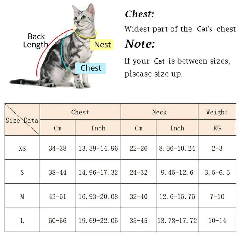XLeiPet Cozy Soft Cat Harness And Leash Set