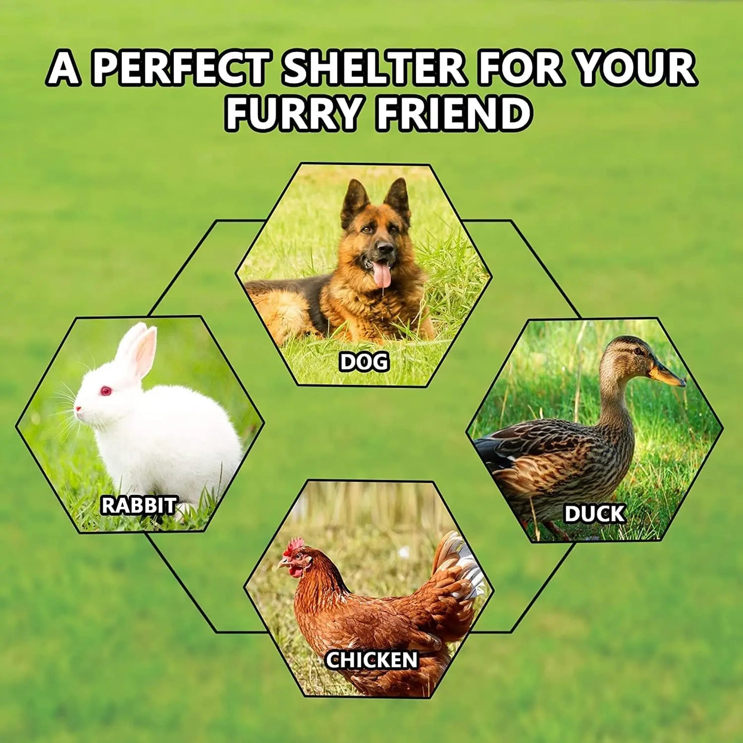 Galvanized Outdoor Dog Kennel With Roof Waterproof UV-Resistant Cover