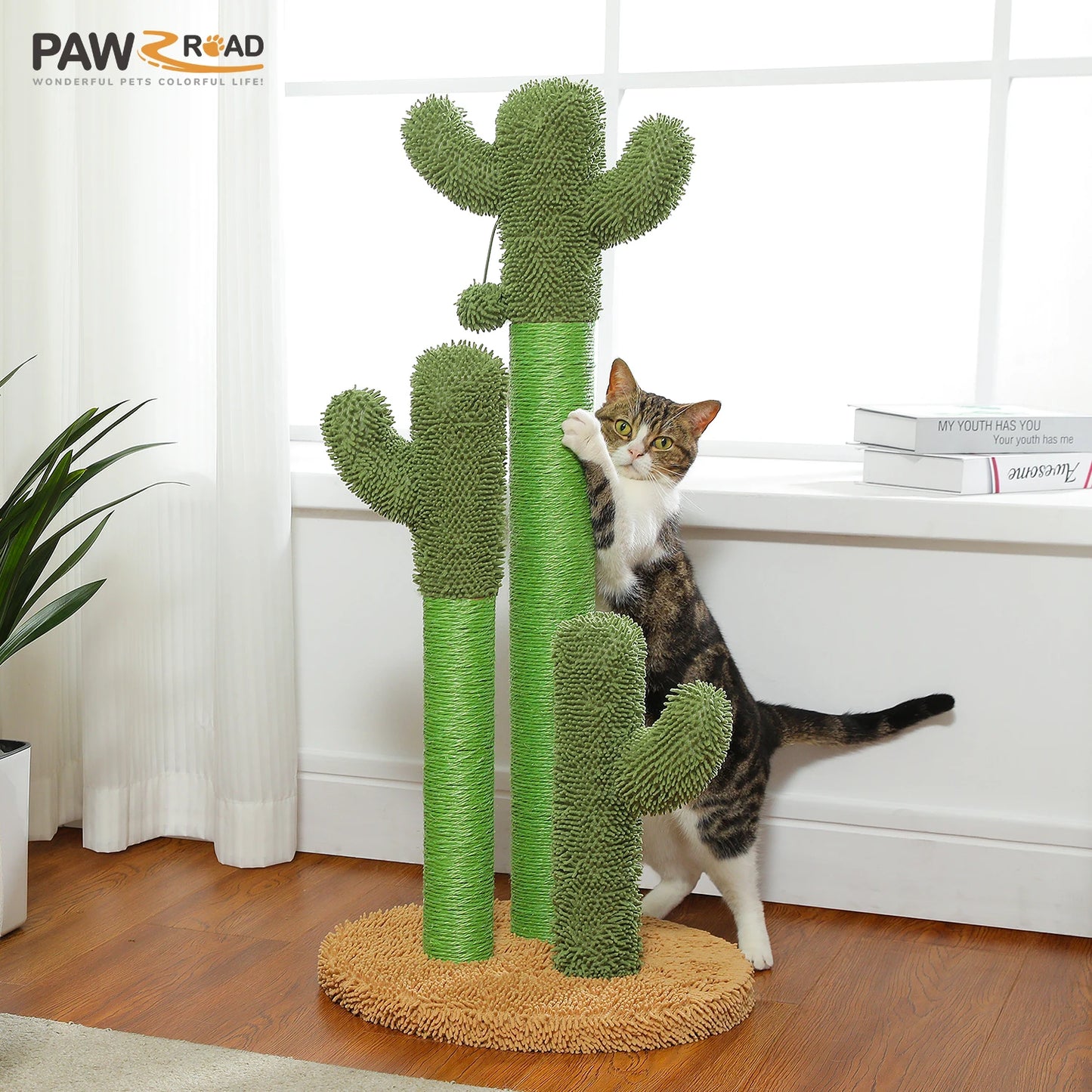 PEQULTI Cactus Cat Tree Condo Hammock Indoor Playground