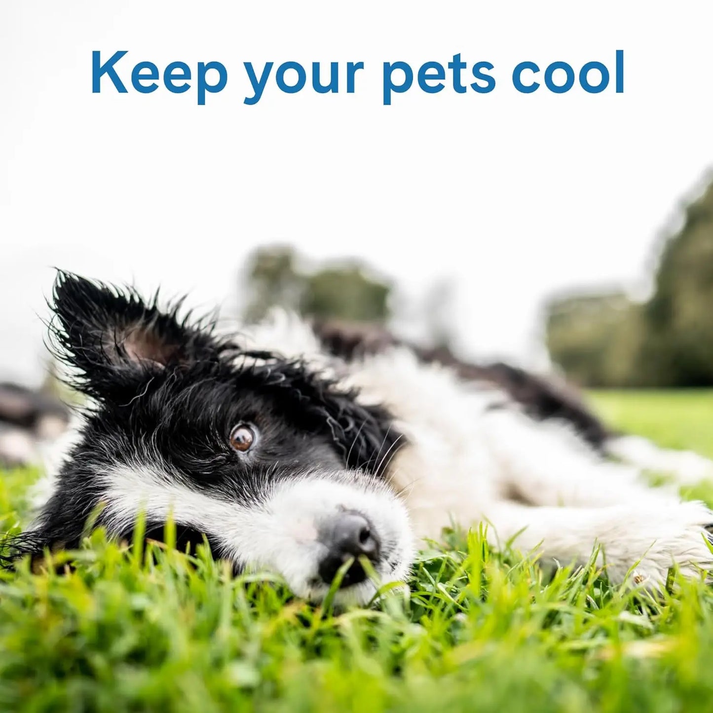 Self Cooling Pet Mat With Pressure Activated Gel Pad For Dogs And Cats