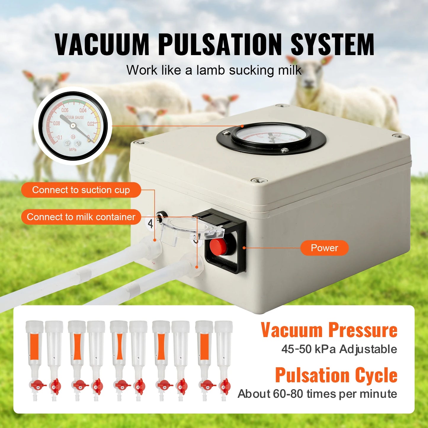SucceBuy Goat Milking Machine Stainless Steel Automatic Pulsation